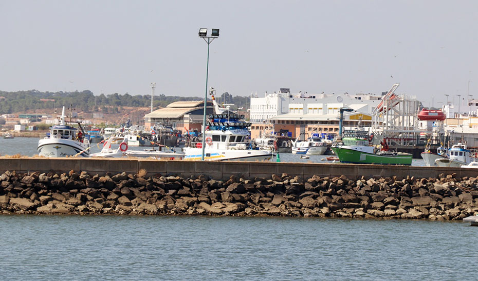 Puerto pesquero de Isla Cristina.